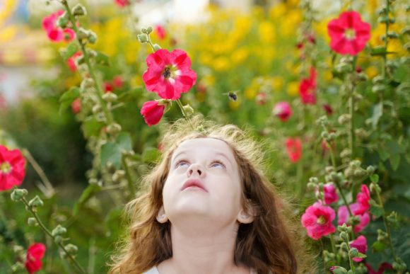 Ein kleines Mädchen steht in einem Blumenfeld und guckt zu einer Biene herauf.