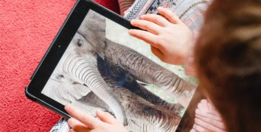 Kind recherchiert auf Tablet zu Elefanten