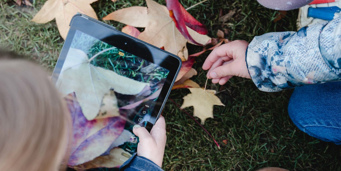 Kinder bestimmen mit einem Tablet Blätter aus der Natur