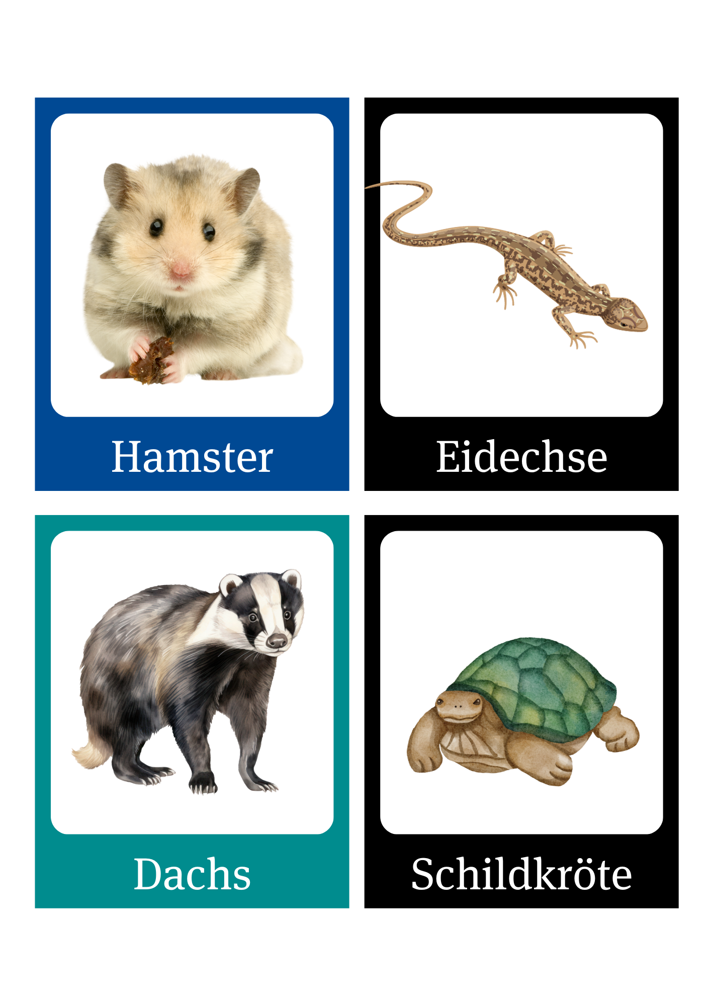 Bildkarten mit Hamster, Eidechse, Dachs und Schildkröte